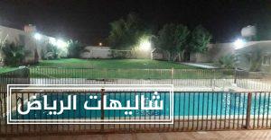 شاليهات ليلك حي القادسية أكبر مسابح في الرياض